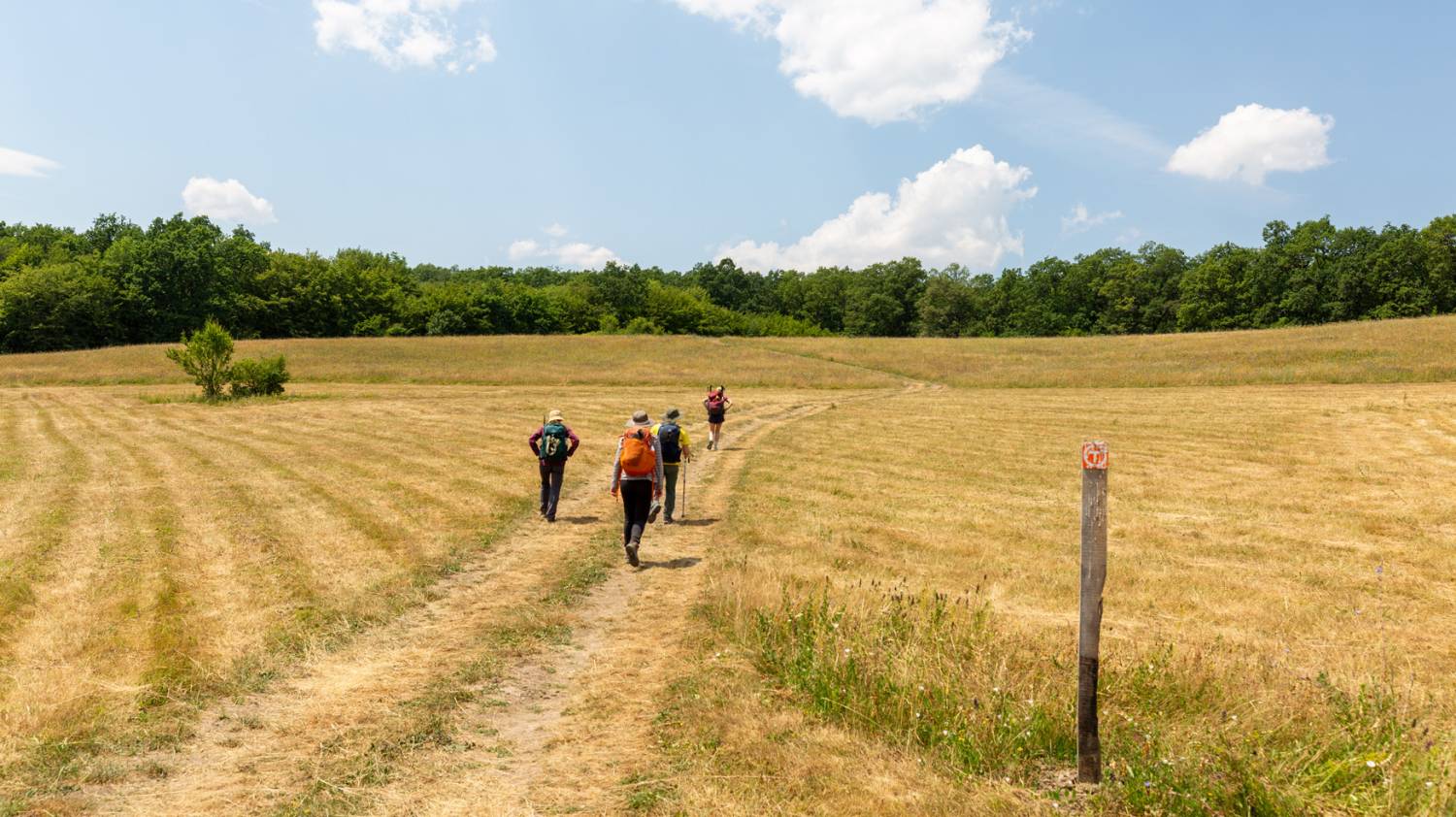 Terra Borza Teutonica